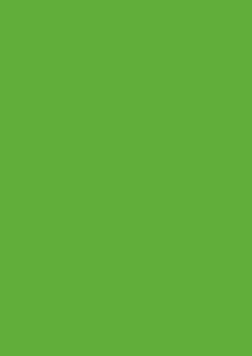 [6473] Color paper A4 green 20pcs