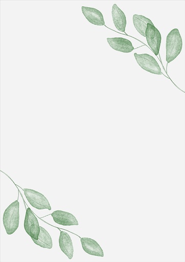 [6576] Vellum paper A4 Leaves 5pcs