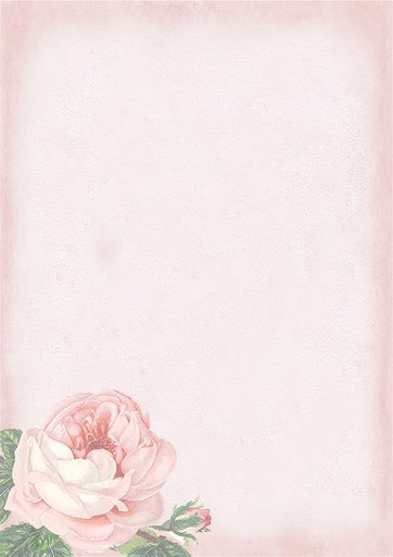 [6680] Decorative paper A4 big Rose light pink 5pcs