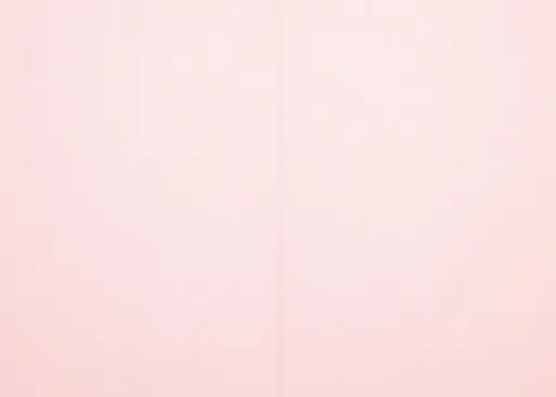 [7360] Folded pearlescent card rose 10pcs