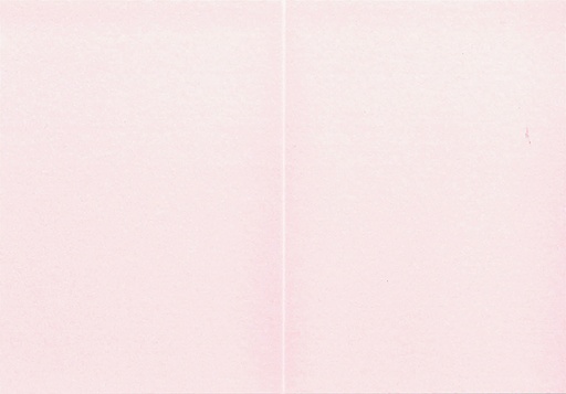 [7360] Folded pearlescent card rose 10pcs