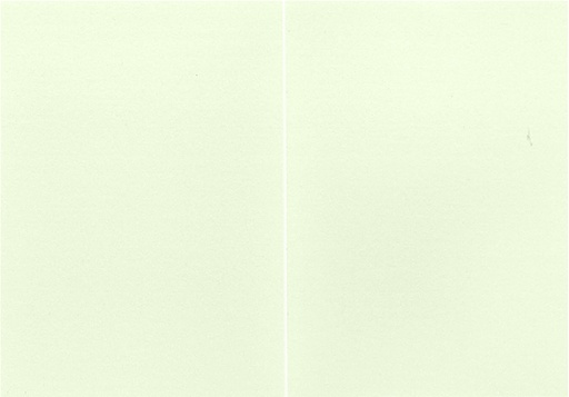 [7362] Folded pearlescent card light green 10pcs