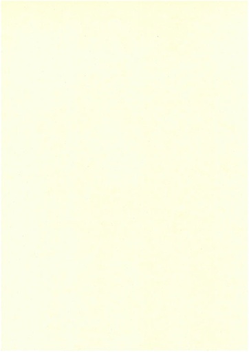 [7601] Kartonki A4 norsunluu 10kpl