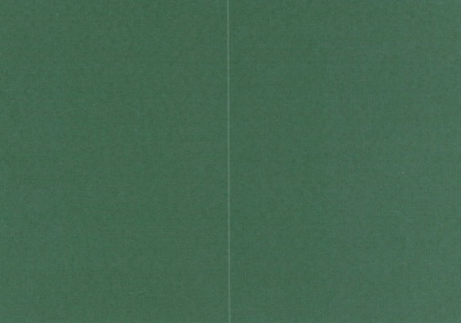 [7973] Folded card Lumo dark green 10pcs